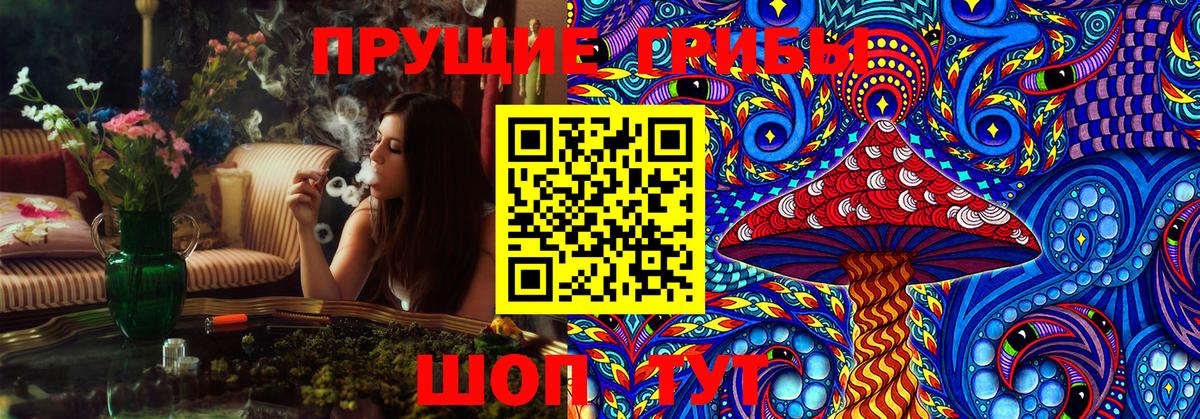 Кизляр  Псилоцибиновые грибы ЛСД  где купить   Вход с VPN 